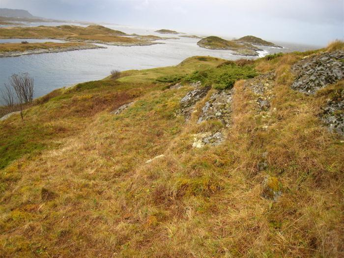 Fig. 5. Sentrale deler av slåtteengområdet, sett fra strandbergene i vest. Foto: Geir Gaarder Fig. 6.