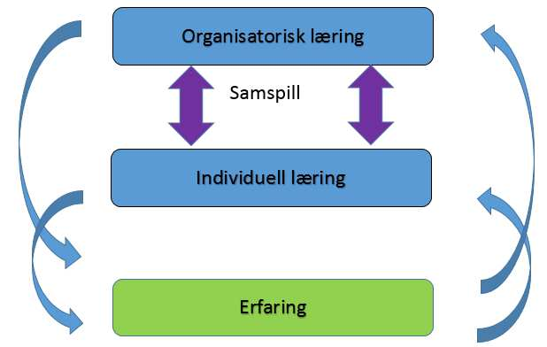 Lærende organisasjon En lærende organisasjon er en organisasjon som har en kultur, systemer og lederstil som motiverer sine medarbeidere til å lære av sine handlinger, dele lærdommen med andre og