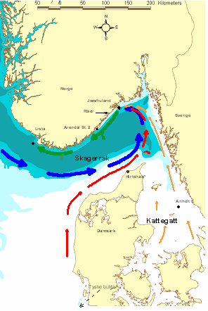 Kystovervåkingsprogrammet 21 Vannkvalitet Skagerrak hvor Jyllandsstrømmen blandes med ferskere vann fra Kattegat (oransje piler) og salt Atlanterhavsvann (blå piler).