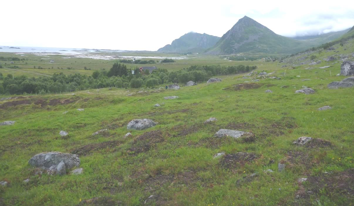 VEDLEGG 2 - Bilder Bilde 1. Oversikt over naturtypelokalitet på Moland mot nordøst. Foto: A. Bär Bilde 2.
