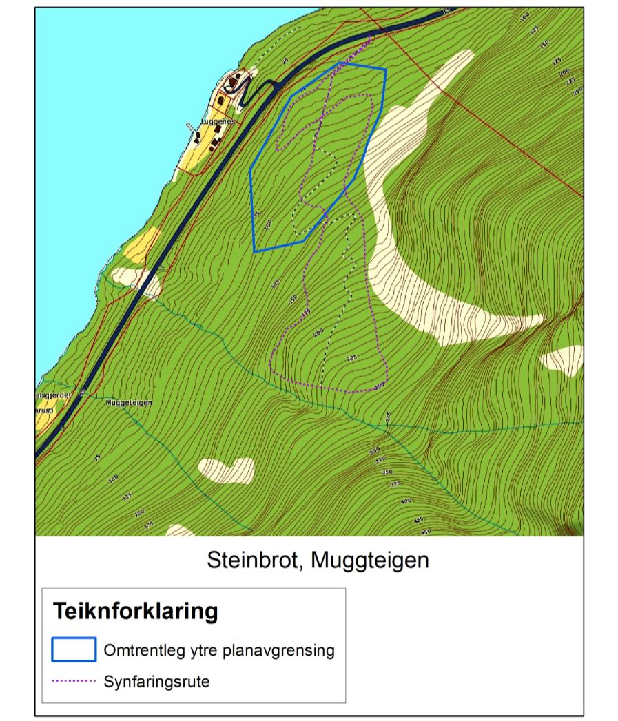 Problemstilling I samband med søknad om dispensasjon for prøveuttak av stein ved Muggeteigen, Bermålsviki i Lærdal, i forkant av detaljregulering, var det trong for ei avklaring av potensialet for