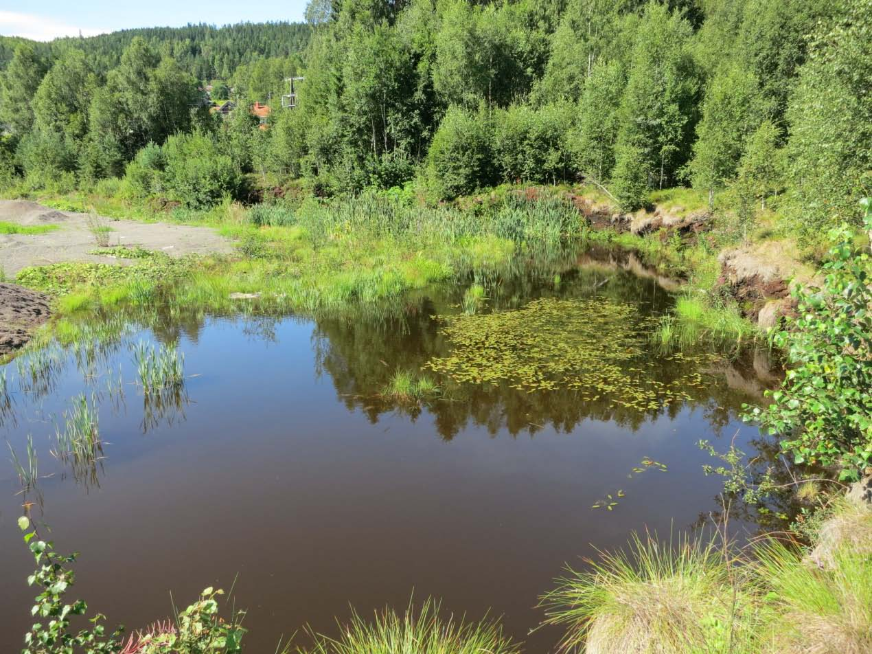 tidligere har vært gjenstand for torvuttak og således vurderes det dit hen at verdiene som inntakt lavlandsmyr og eventuelle andre biologiske verdier allerede er tapt.