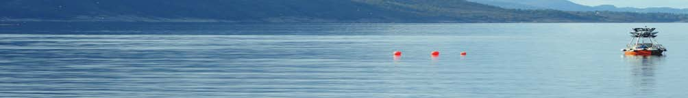 Effekten av nasjonale laksefjorder på risikoen for lakselusinfeksjon hos vill laksefisk langs norskekysten Midtevaluering av ordningen med nasjonale laksefjorder Sammendrag Mattilsynet har på vegne