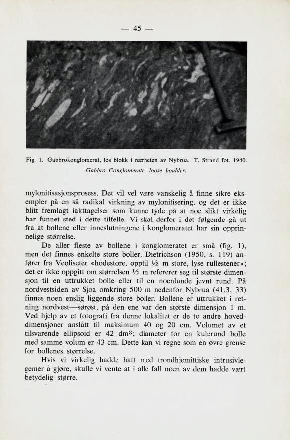 45 Fig. 1. Gabbrokonglomerat, løs blokk i nærheten av Nybrua. T. Strand fot. 1940. Gabbro Conglomerate, hose boulder. mylonitisasjonsprosess.