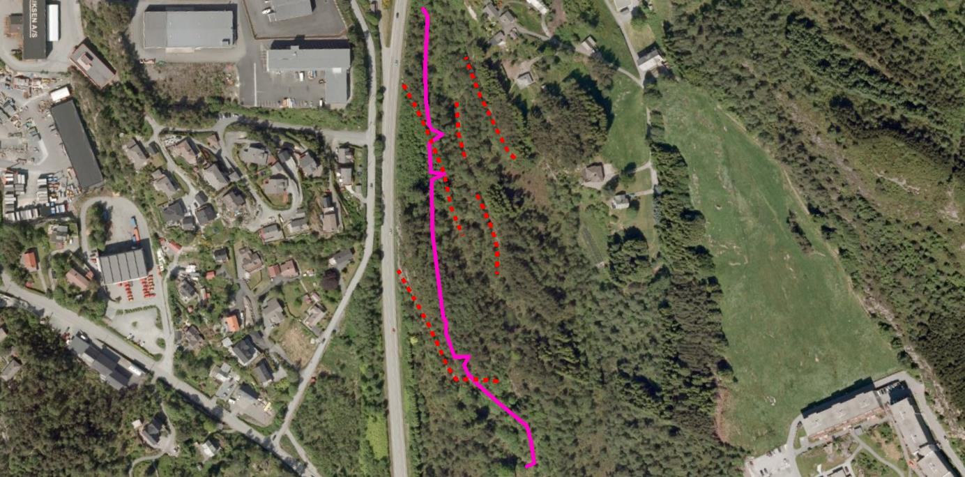 Figur 28: Sprekkemålinger ved Askøyvegen. N=16. Figur 29: Ortofoto for skjæringen ved Askøyvegen (markert rosa), med svakhetssoner inntegnet med røde, stiplede linjer. 5.7.