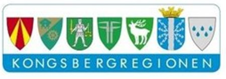 2 y = 0,3955x - 0,2094 R² = 0,3489 1 Kongsbergregionen Flyttingen til Kongsbergregionen har vært statistisk normal i til arbeidsplassveksten.