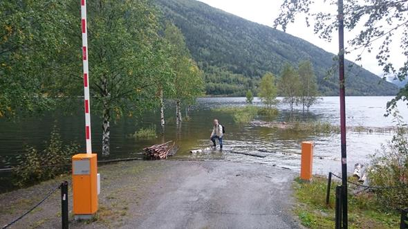 for forholdet mellom TS og fiskelengde.