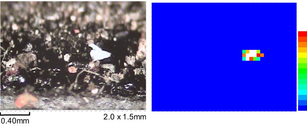 Venstre:optisk mikroskopbilde av husstøv Høyre: Bromgift-kartleggingsbilde av samme Rauert et al. (2014).