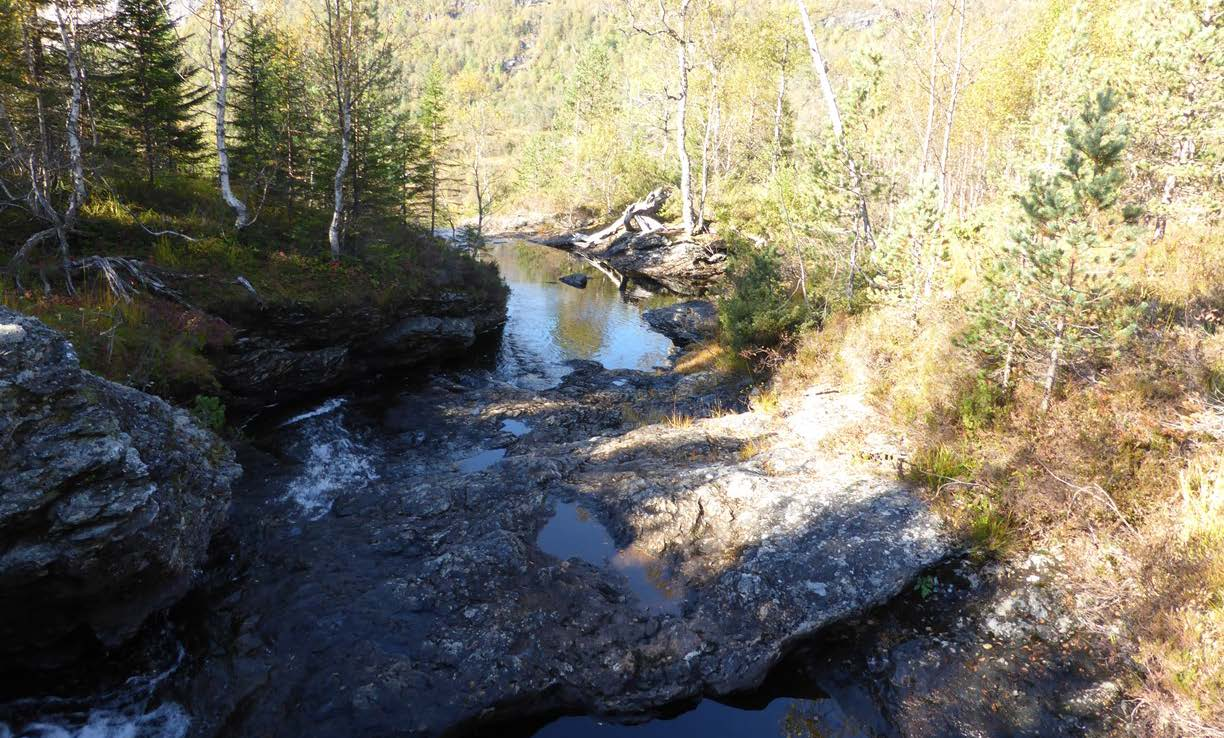 Vedlegg 5: Planendringssøknad Lussand Kraft Side 7 Figur 5-10: Nærbilete av eine masta til ny 420 kv lina Sima og Samnanger. Bilete teke frå Stølsvegen like nedanfor Lomtjørni.