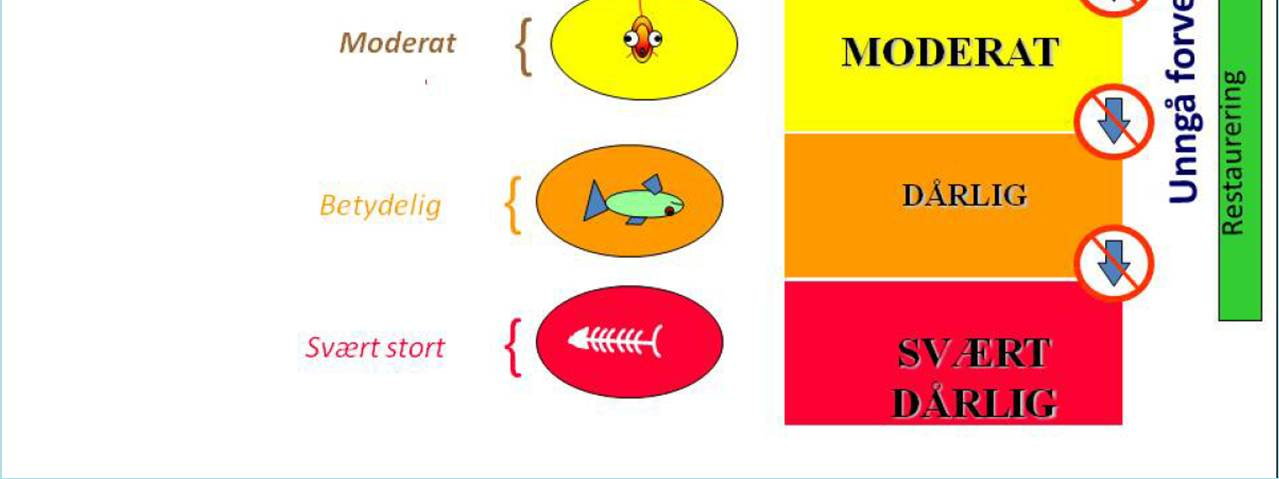 Skala med 5 tilstandsklasser og grensen Både økologisk tilstand og kjemisk
