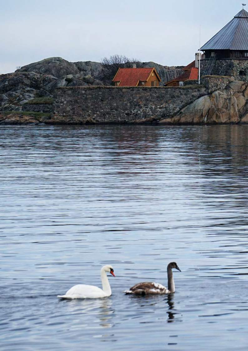 ANITA DAME J 2½-9 Tåboksen til Anita er en av de høyeste og mest voluminøse i Klaveness sitt sortiment.