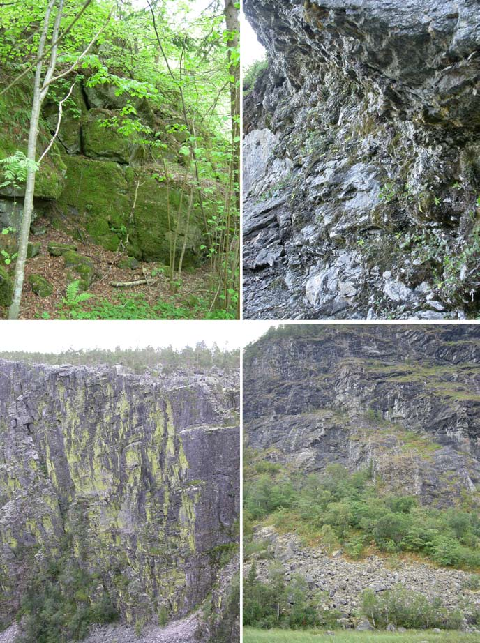 a b c d Fig. 59. Eksempler på marktyper innenfor økosystem-hovedtypen bergvegg. (a) Intermediær bergvegg med lav innstråling.