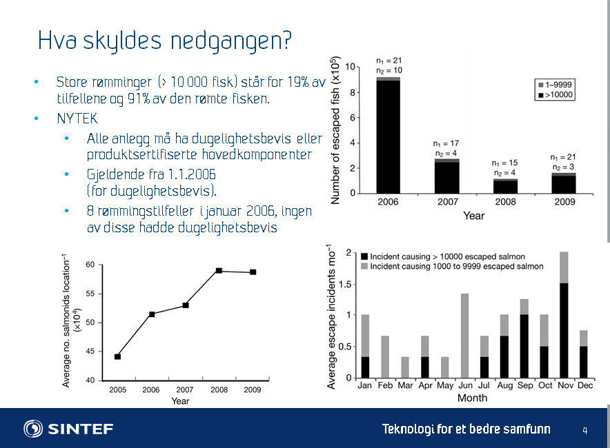 Hva skyldes økningen? Trenger vi nye notmaterialer? Hull i not = 2/3 av all rømt fisk i perioden 2006-2009 Hvordan løser vi problemet med gnag mellom not og bunnringkjetting?