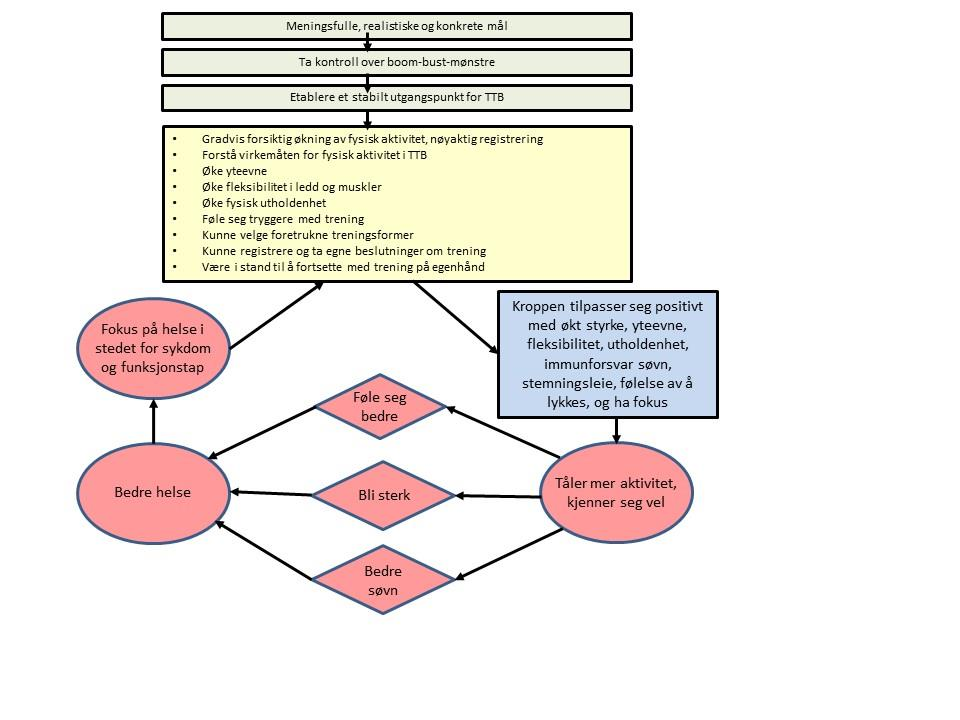 for pasienter med CFS/ME, men kun TTB og kognitiv terapi (engelsk: Cognitive Behavioural Therapy - CBT) har dokumentert effekt. Frafallsprosenten ved TTB er lav.