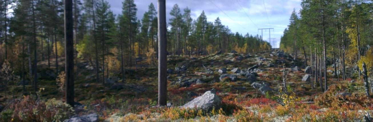 FKB-Ledning, forvaltning og ajourføring