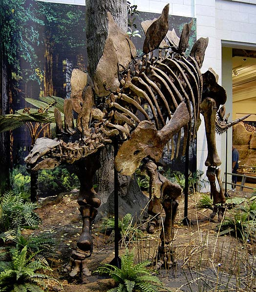 Dinosaurer og andre krypdyr Foto: Wikimedia Commons Beina