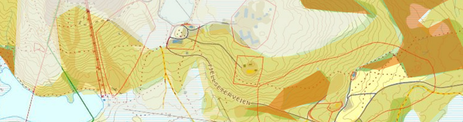Områdeplan for Litlgråkallen, Kobberdammen og Fjellsætera Konsekvensutredning reg. Nøttekråker hørt 782 795 805 Gammel barskog, mest gran i nord, furu i sør. Truet art registrert - granbendellav [VU].
