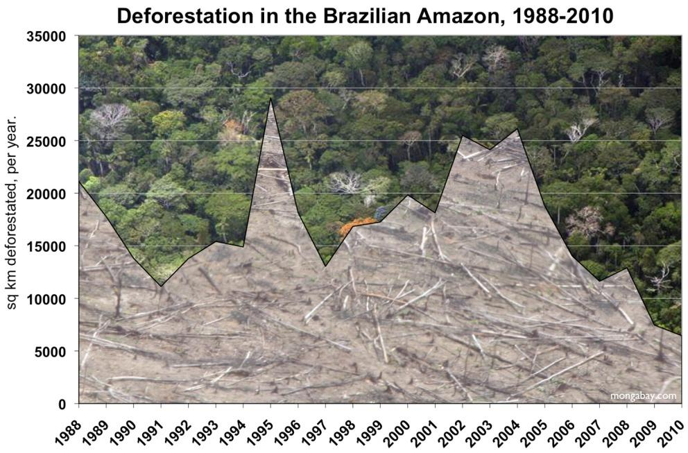 Brasil: En tredel av verdens tropiske skog Høy avskogingstakt 22 millioner mennesker bor i Amasonas. Nasjonal målsetting om redusert avskoging Sterke interne maktkamper.