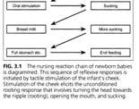 Reaction Chains 24.02.