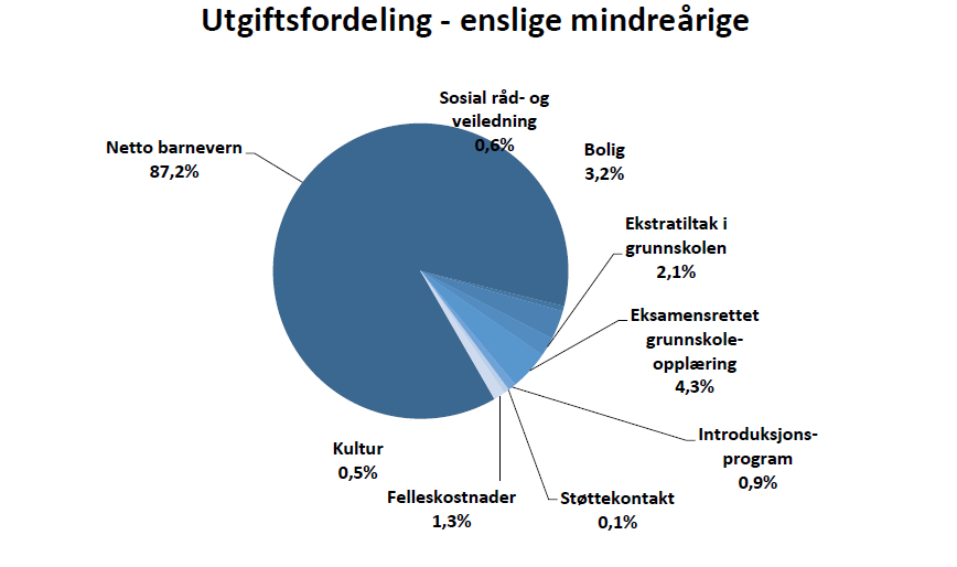 Figur: oversikt over fordeling av utgifter hentet fra beregningsutvalgets rapport enslige mindreårige for 2015