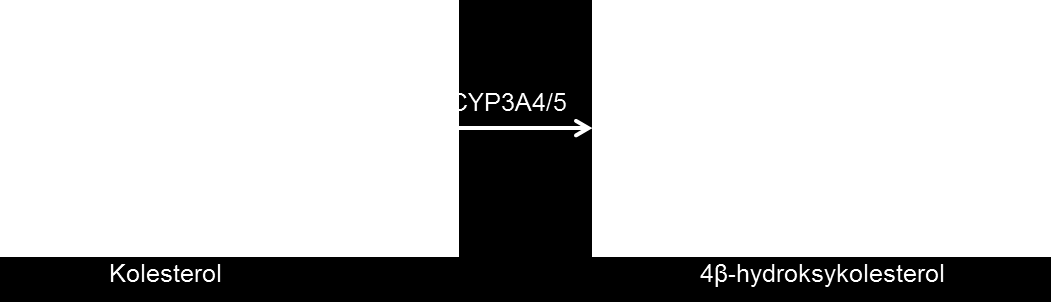 Figur 1. Omdannelsen fra kolesterol til 4β-hydroksykolesterol (4β-OH-K) via CYP3A4/5. Det er utført to studier som har undersøkt halveringstiden til 4β-OH-K.