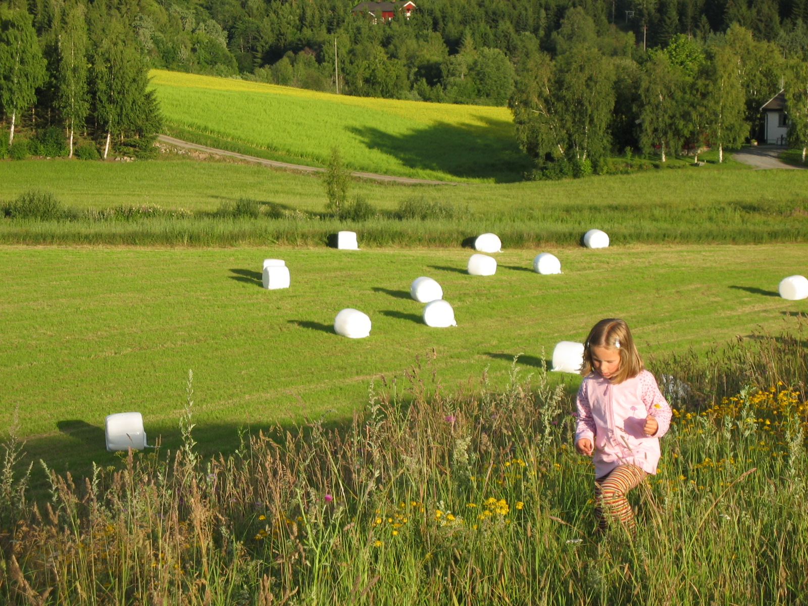 Kjerneområder - hvordan?