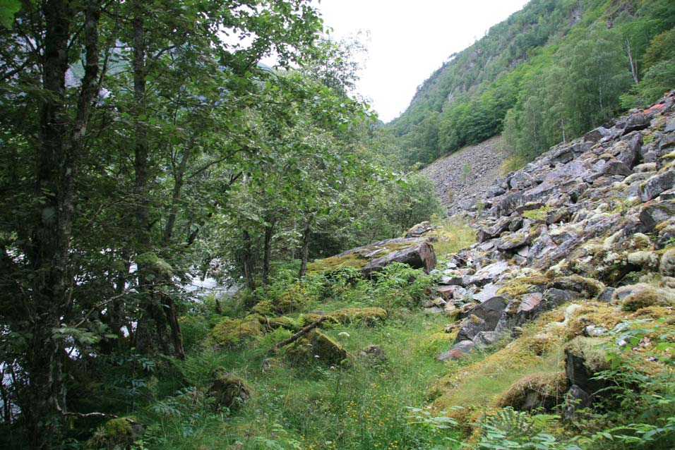 Figur 8.5.1. Den gamle ferdselsveien på strekningen mellom elva og ura der adkomstportalen er planlagt. Gårder og støler Gårdene Øyane (gnr. 2) og Svensøy (gnr.
