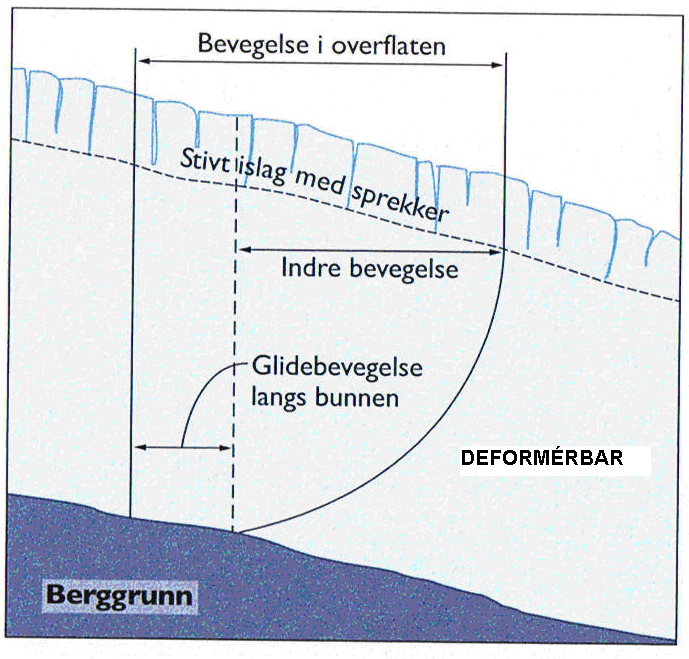 Figur 4. Vertikalt hastighetsprofil i en isbre. Til venstre; kun intern deformasjon. Midten; intern deformasjon og basal glidning. Til høyre: kun basal glidning (Liestøl, 1989).