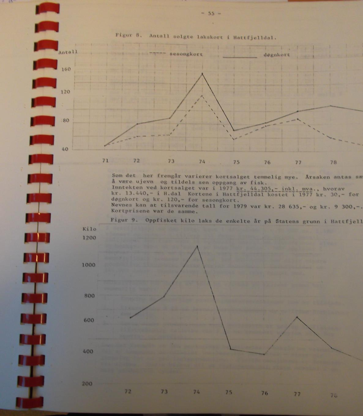 Side 13 av 24 Her fremgår det at oppfisket laks i Hattfjelldal i 1977 var ca. 700 kilo. Samme år ble det solgt fiskekort for kr. 13.440.