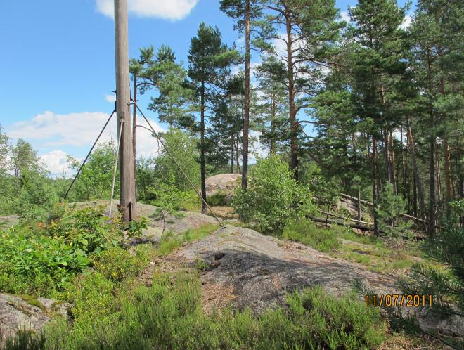 hager. Overflateregistreringen ble stedvis noe vanskelig gjennom svært tett vegetasjon på hogstflatene.