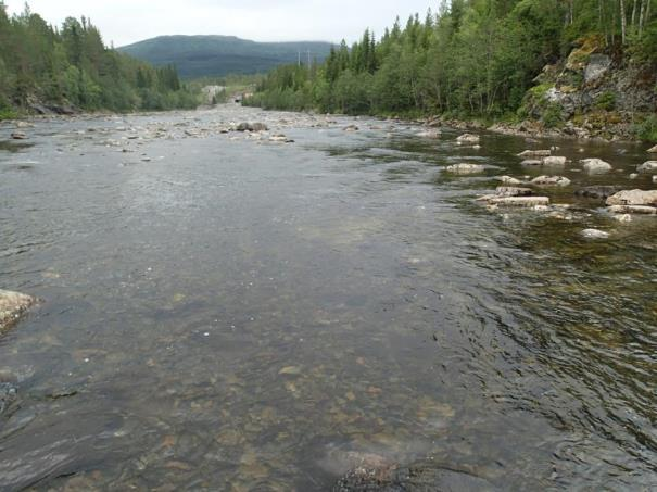 Figur 3-181 Elva like oppstrøms utløpet av Gresslifoss kraftverk.