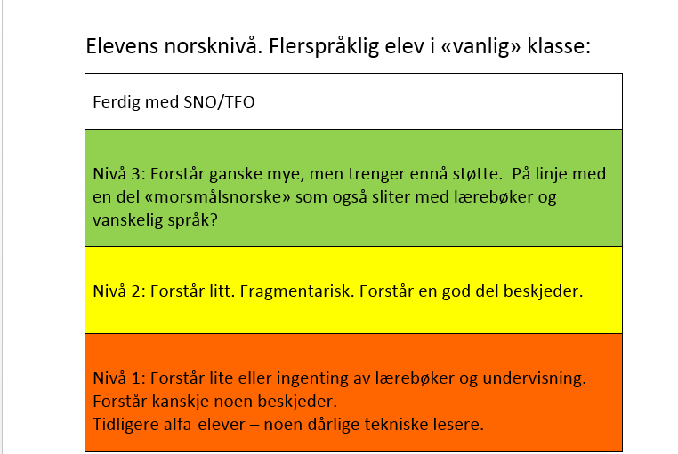 Elevens norsknivå + SKOLEBAKGRUNN Elev på nivå