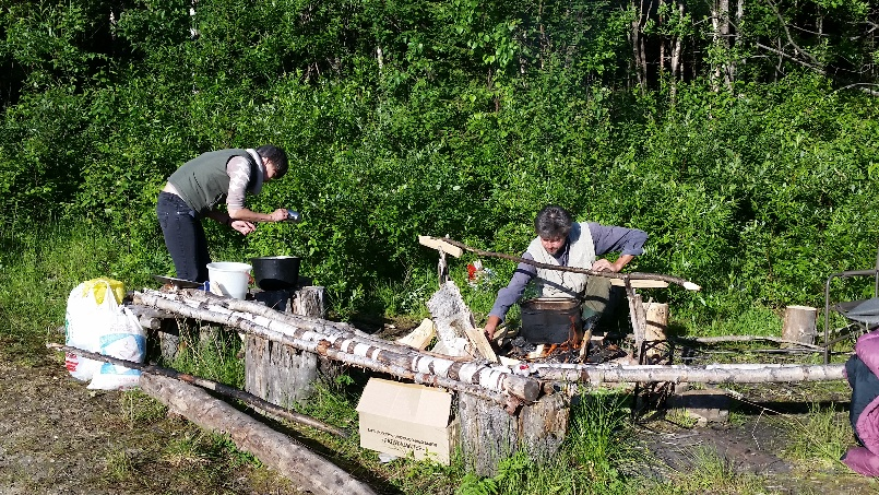 Nok en gang måtte vi returnere uten hell, men en fin fjelltur akkompagnert av blåstjert, dvergspurv, taigagjøk, gulbrynsanger, lappsanger, østsanger m.m. ble det tross alt.