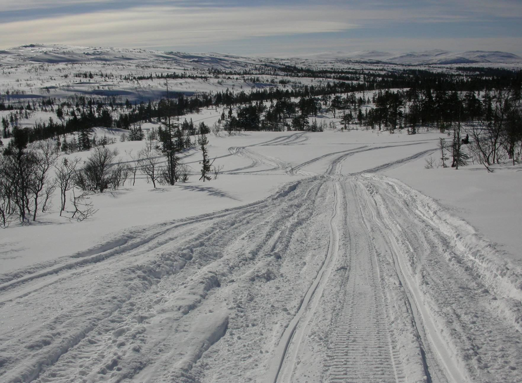 Reviderte retningslinjer 18 Direktoratet for naturforvaltning ga retningslinjer for slik forberedende kjøring i rundskriv fra 1999. De store, sentrale redningsorganisasjonene (Røde Kors m.