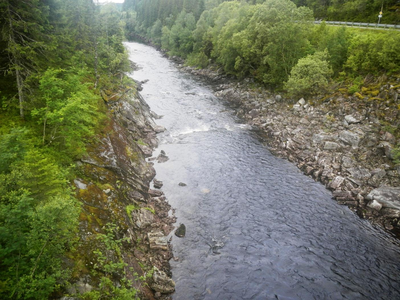 Figur 1-9 Elveløp nedstrøms eksisterende bru 1.5.2 Erosjonssikring For å vurdere erosjonssikring og foreslå steinstørrelser er det beregnet maksimal hastighet i gjennomløpet.