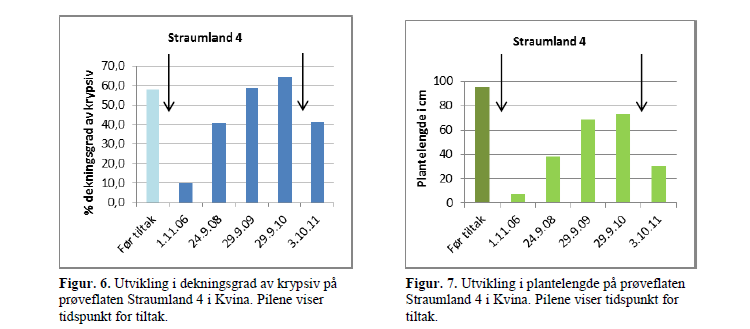 En oversikt over gjenveksten i terskelbassenget på Straumland etter tiltak gjennomført i 2006, viser at det tar rundt tre år før krypsivet er tilbake med samme dekningsgrad, se figur 2.