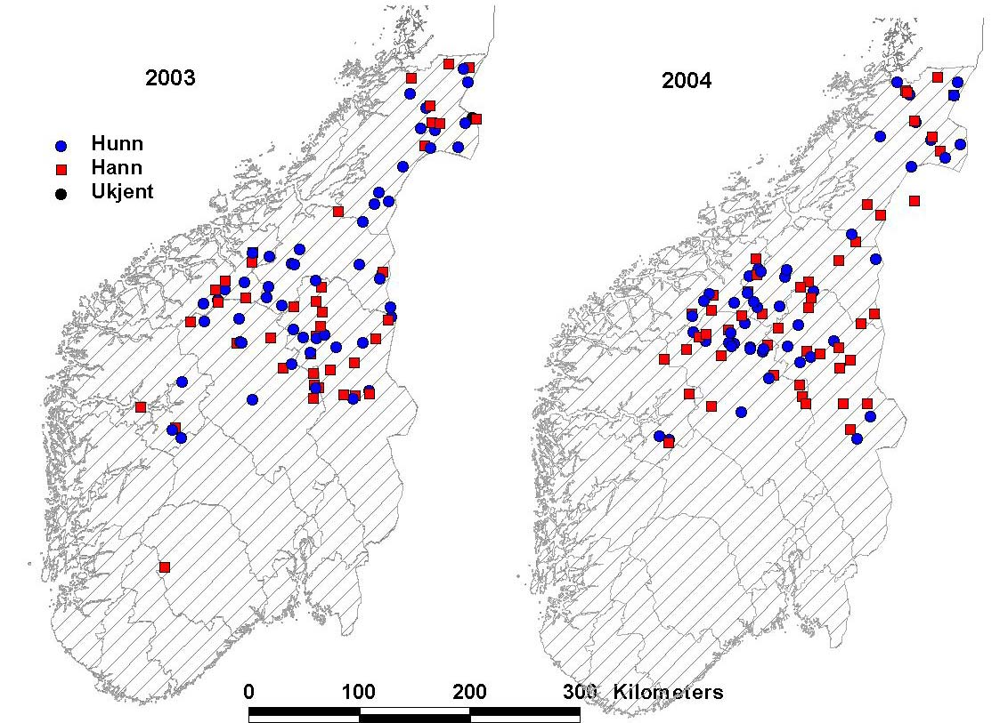 NINA Rapport41 Figur 6. Fordeling av jerv i Sør- og Midt-Norge i 2001-2004.