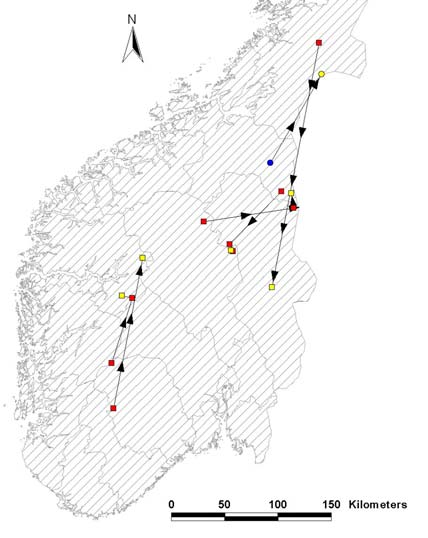 NINA Rapport 41 Av de 76 individene som ble påvist fra Sør-Trøndelag og sørover, var 50 representert i ekskrementmaterialet fra tidligere års innsamlinger.