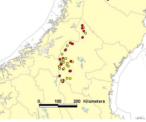 NINA Rapport 41 seg svært langt (151 km). Dette gjelder individ 737 som ble samplet på et ynglehi i 2002, sannsynligvis som valp.