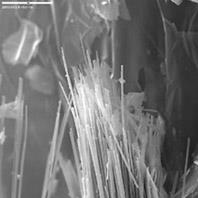 Helserisiko Asbest er fellesbetegnelsen for en gruppe mineraler som er formet som fibrer som ligner små nåler.