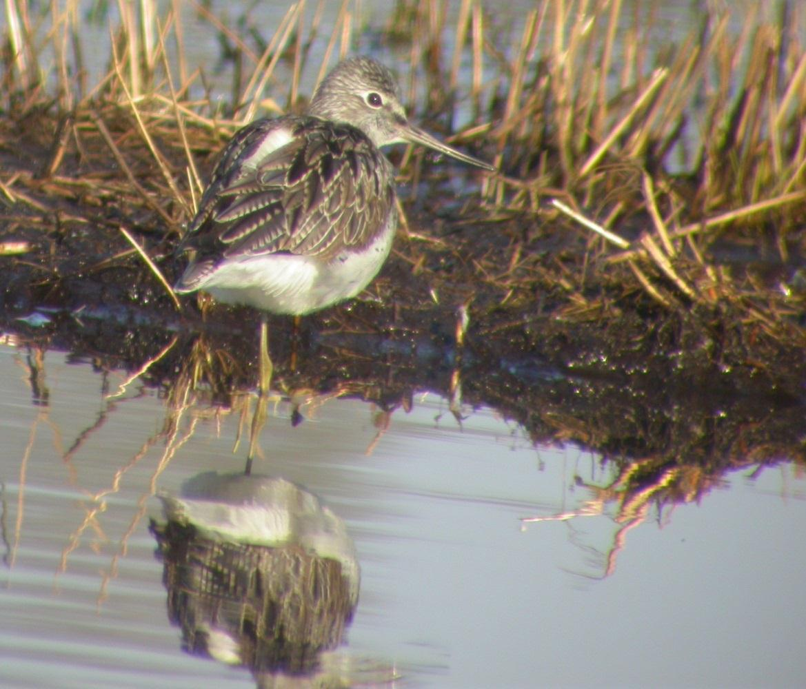 Fylkesmannen i Hedmark Naturmangfoldlovens 50: «En eier eller rettighetshaver i eiendom som helt eller delvis blir vernet som nasjonalpark, landskaps-vernområde, naturreservat, biotop-vernområde