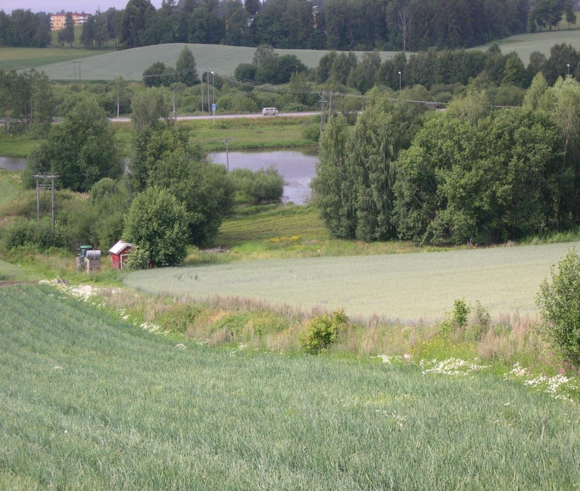 Fylkesmannen i Hedmark Et hjelpemiddel til å opprettholde og fremme verneformålet. bidrar til avklaring av hvordan ulike verne- og brukerinteresser skal håndteres.