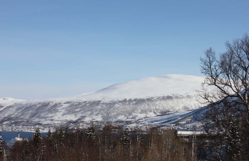 Tromsøbadet Forprosjekt Del 2 BESKRIVELSE 9 2 SITUASJON Overordnet landskap Beliggenhet og topografi Templarheimen ligger på toppen av Tromsøya og inntil Tromsøyas største og viktigste grøntområde