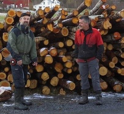 SKOG OG UTMARK Den største utfordringen for bruk av skogressursene i Bjugn og Ørland er svak lønnsomhet og mye gammel skog.