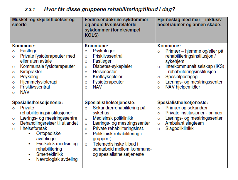 Rehabilitering ved muskel skjelettsykdommer, skader og plager (Avklaring av ansvars-og