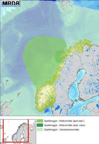 Figur D - 32 Utbredelse av knølhval og spekkhogger langs Norskekysten (DN & HI, 2007).