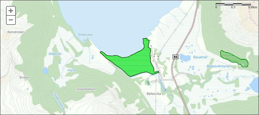 Rapport 25/01/2017 16 Nord for sandstranda i Ballesvika, på sjøbunn, framgår det fra Naturbase at NIVA har gjort en kartlegging i 2009 der et stort område er avgrenset som lokalitet Ballesvika, med
