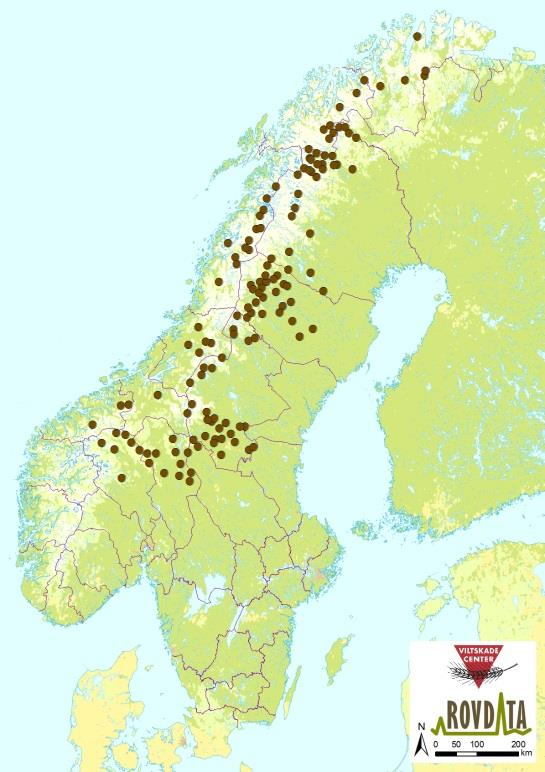 Figur: Oversikt over påviste ynglinger av jerv i Skandinavia vinteren 2014. Kilde: Rovbase.