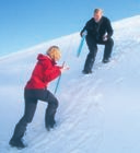 Universitetssenteret på Svalbard AS ADRESSE: Postboks 156, 9171 Longyearbyen TELEFON: +47 79 02 33 00 INTERNETT: www.unis.no ADM. DIR.: Gunnar Sand STYRELEDER: Kjell A. Sælen STYREMEDLEMMER: Annik M.