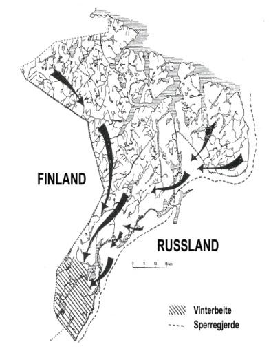 2. Innledning På slutten av 1970-tallet ble det klart at det i løpet av senhøsten og vinteren kom en hel del elg trekkende over grensen fra Russland til Norge.